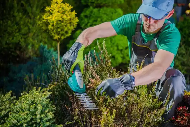 landscaping services New Houlka